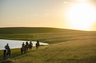 Black Leg Ranch Black Leg Ranch
